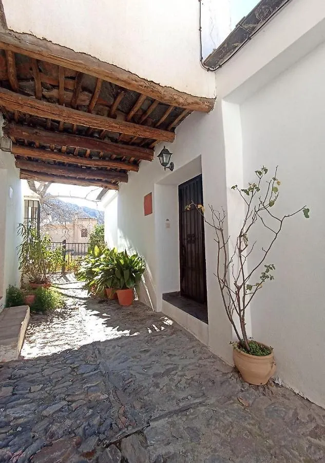 Апартаменты Apartamentos Casalpujarra Бубион
