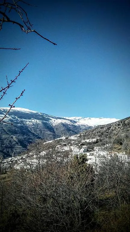 Apartamentos Casalpujarra Бубион